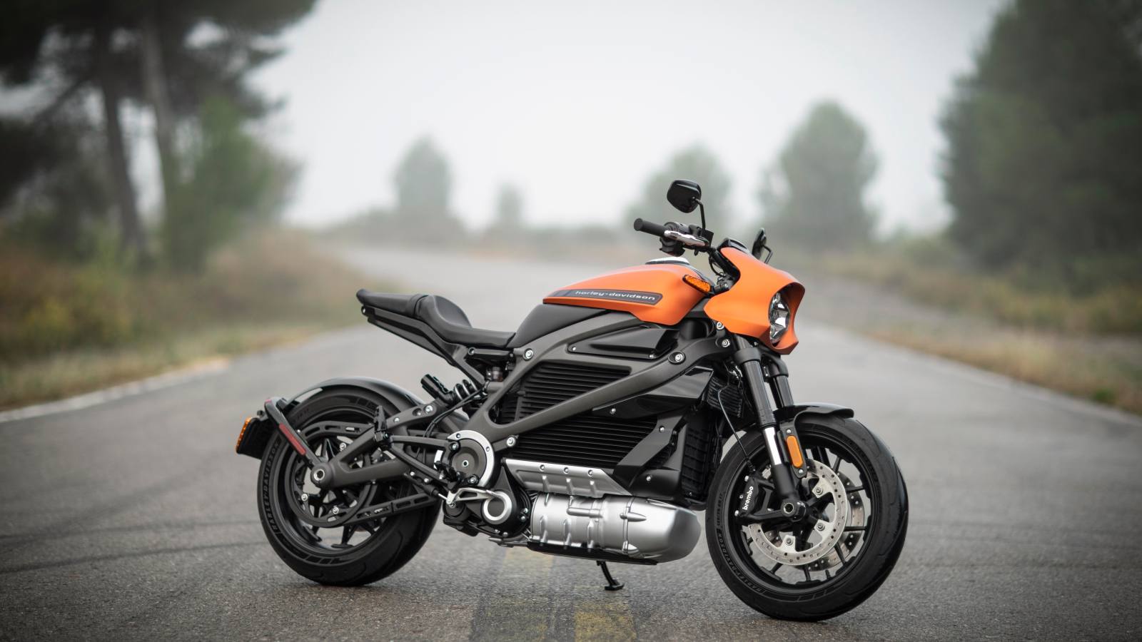 70 000 dollars perdus par moto électrique vendue : LiveWire se donne un an de survie