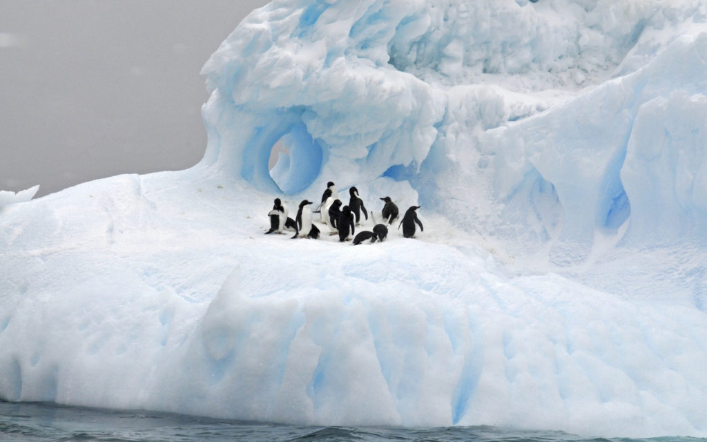 Les glaces de l'Antarctiques fondent 6 fois plus vite qu'il y a 40 ans. // Source : Pixabay (photo recadrée) Les glaces de l'Antarctiques fondent 6 fois plus vite qu'il y a 40 ans. // Source : Pixabay (photo recadrée)