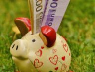 Seriez-vous motivé si on vous payait pour protéger l'environnement ? // Source : Pixabay (photo recadrée)