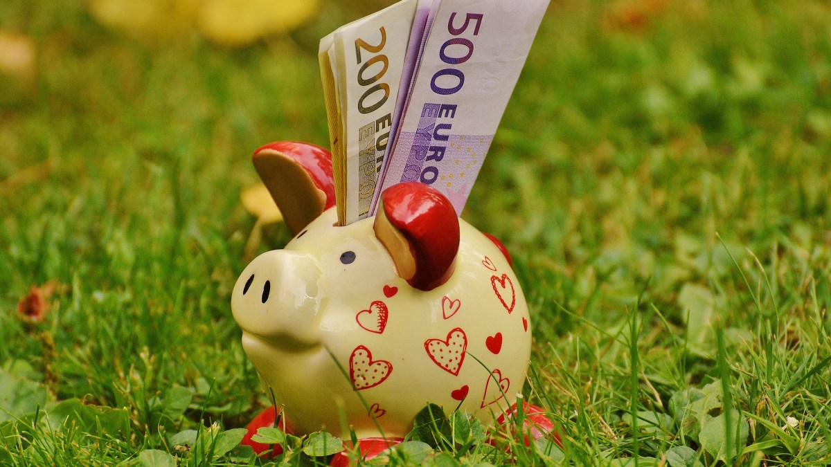 Seriez-vous motivé si on vous payait pour protéger l'environnement ? // Source : Pixabay (photo recadrée) Seriez-vous motivé si on vous payait pour protéger l'environnement ? // Source : Pixabay (photo recadrée)