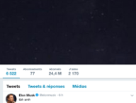 Capture d'écran du compte d'Elon Musk le 30 janvier 2019 // Source : Twitter/ElonMusk