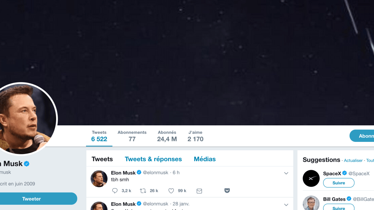 Capture d'écran du compte d'Elon Musk le 30 janvier 2019 // Source : Twitter/ElonMusk Capture d'écran du compte d'Elon Musk le 30 janvier 2019 // Source : Twitter/ElonMusk