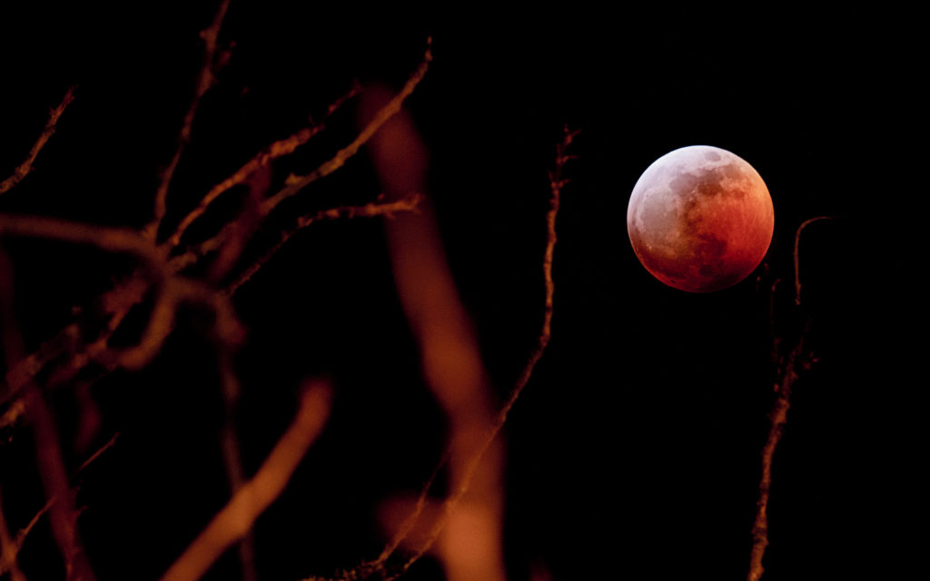 L'éclipse lunaire totale du 21 janvier 2019. // Source : Flickr/CC/Bill Devlin (photo recadrée) L'éclipse lunaire totale du 21 janvier 2019. // Source : Flickr/CC/Bill Devlin (photo recadrée)