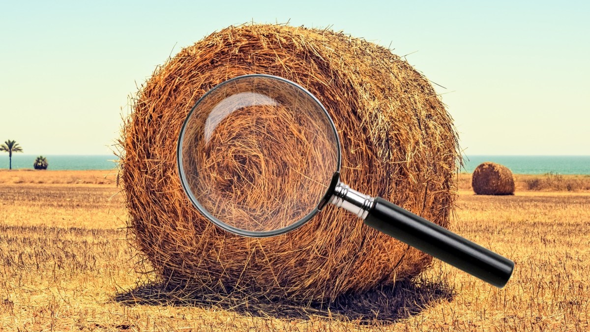 Pixabay/dimitrisvetsikas1969 Pixabay/dimitrisvetsikas1969