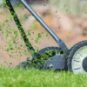 De l'herbe tondue. // Source : Pixabay/CC0 (photo recadrée)