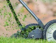 De l'herbe tondue. // Source : Pixabay/CC0 (photo recadrée)