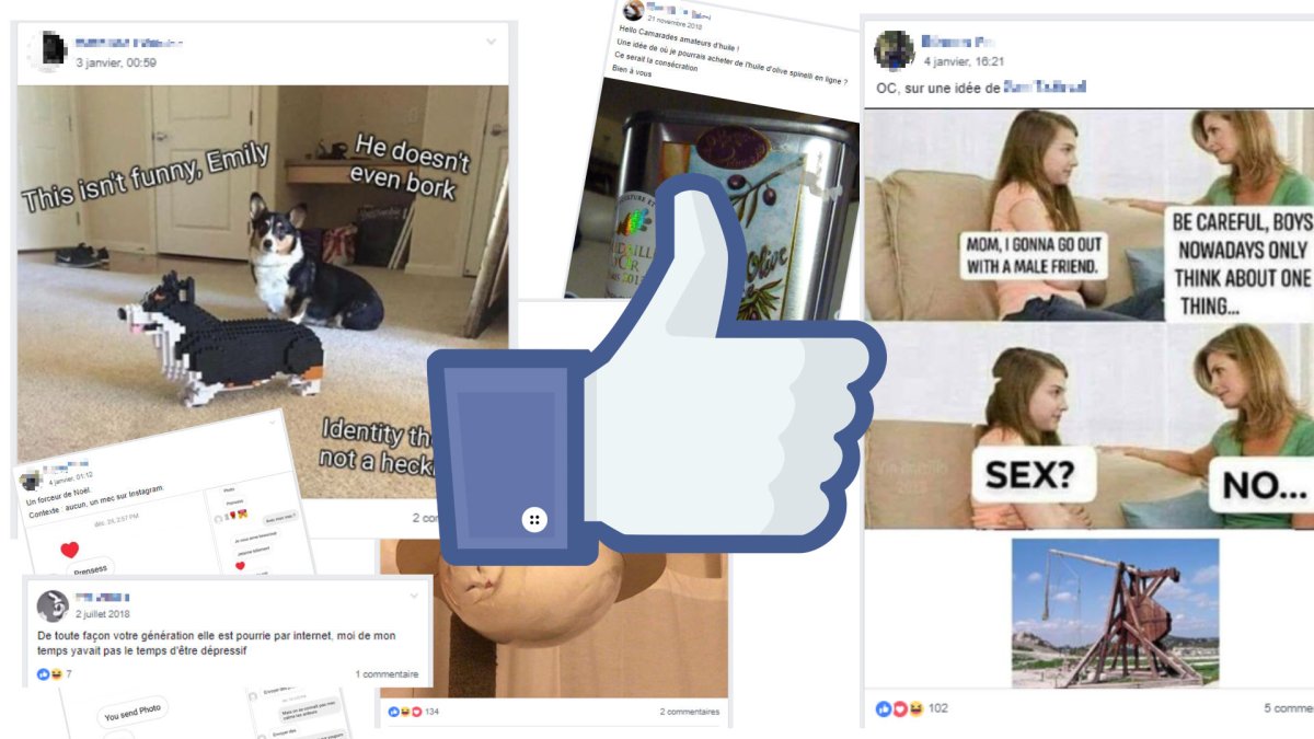 Publications extraites de divers neurchis (neurchi de forceurs, de trébuchets, de doggos, de pitichats, d'huile d'olive et de psychologie de bar PMU). // Source : Captures d'écran Facebook Publications extraites de divers neurchis (neurchi de forceurs, de trébuchets, de doggos, de pitichats, d'huile d'olive et de psychologie de bar PMU). // Source : Captures d'écran Facebook
