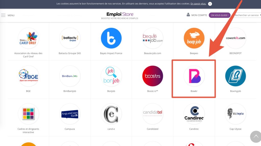 Capture d'écran de Emploi Store le 9 janvier avant la suppression de Bowkr // Source : Emploi Store Capture d'écran de Emploi Store le 9 janvier avant la suppression de Bowkr // Source : Emploi Store