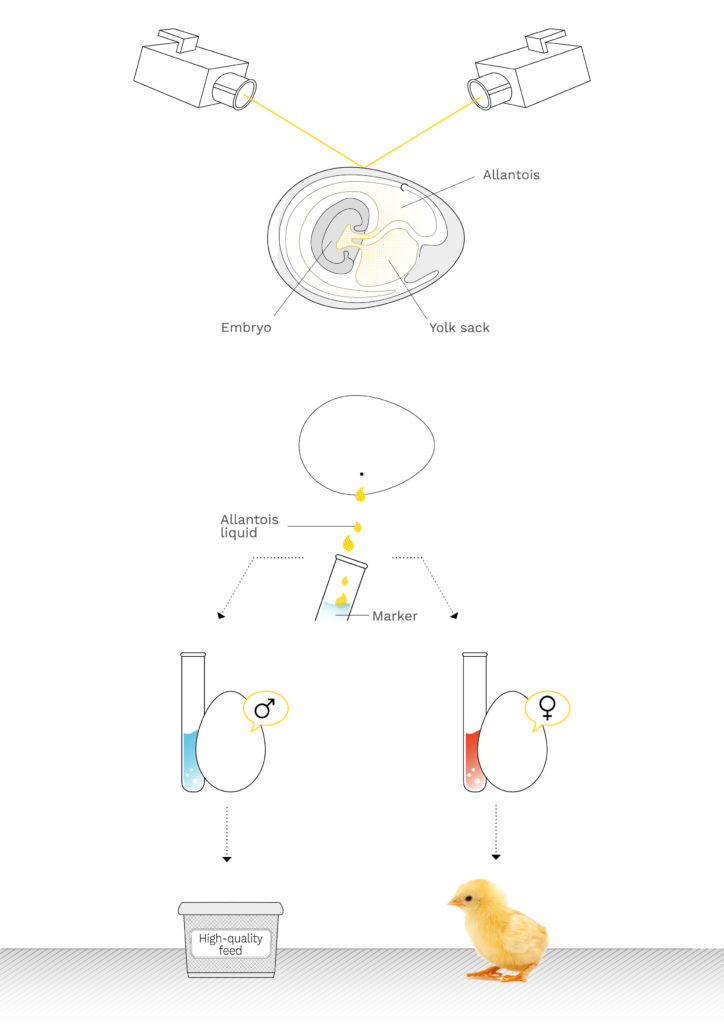Le processus détaillé. // Source : Seleggt Le processus détaillé. // Source : Seleggt