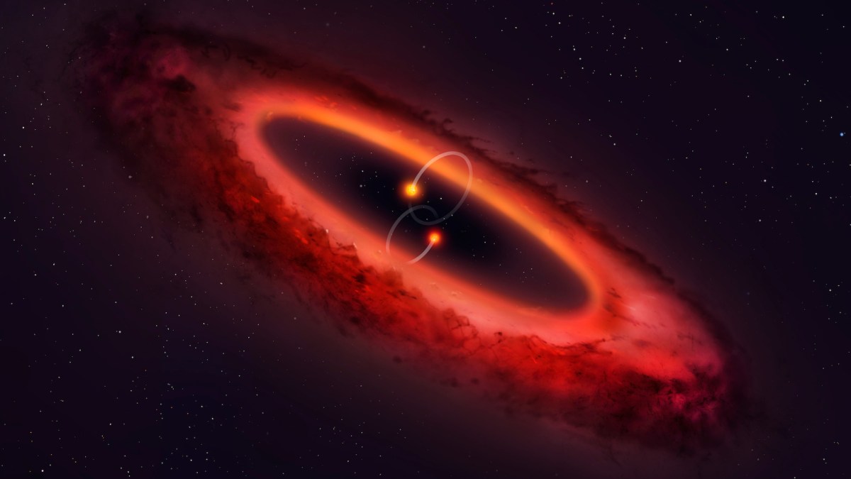 Ce système solaire a été identifié par le télescope ALMA. // Source : University of Warwick/Mark Garlick Ce système solaire a été identifié par le télescope ALMA. // Source : University of Warwick/Mark Garlick