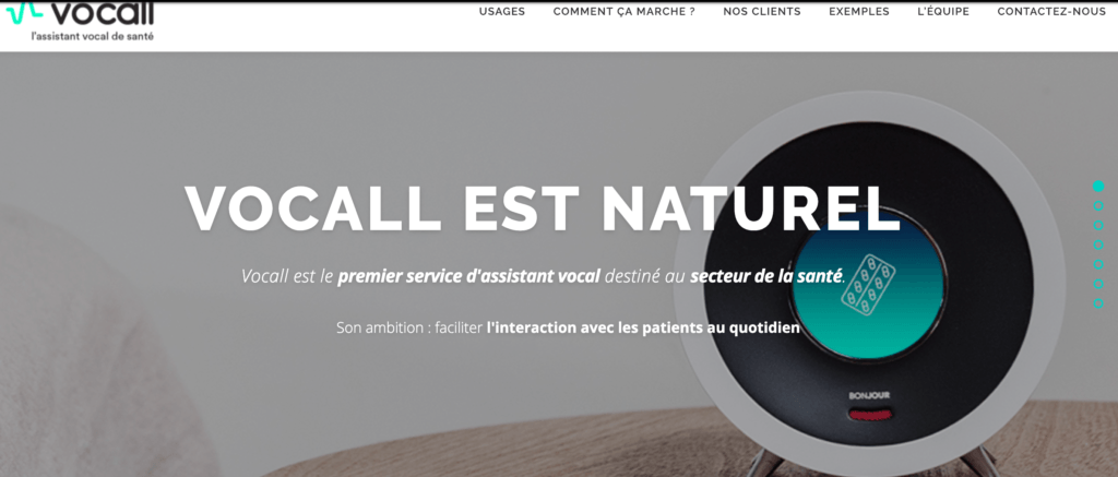Capture d'écran du site Vocall.ia désormais hors ligne // Source : Vocall.ia