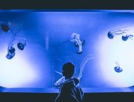 aquarium