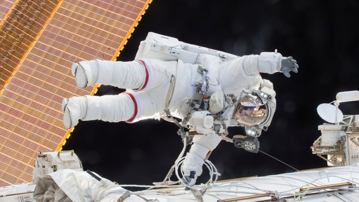 Le corps humain peut s'altérer dans l'espace. // Source : Pixabay (photo recadrée) Le corps humain peut s'altérer dans l'espace. // Source : Pixabay (photo recadrée)