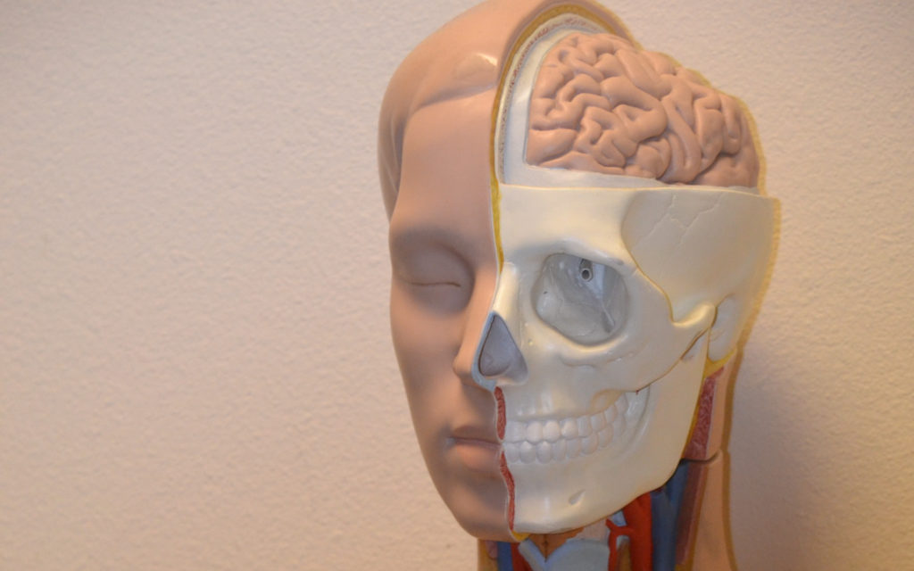 Le cerveau humain n'est visiblement pas adapté aux voyages spatiaux. // Source : Max Pixel/CC0 (photo recadrée) Le cerveau humain n'est visiblement pas adapté aux voyages spatiaux. // Source : Max Pixel/CC0 (photo recadrée)