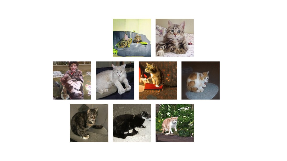 chats chats