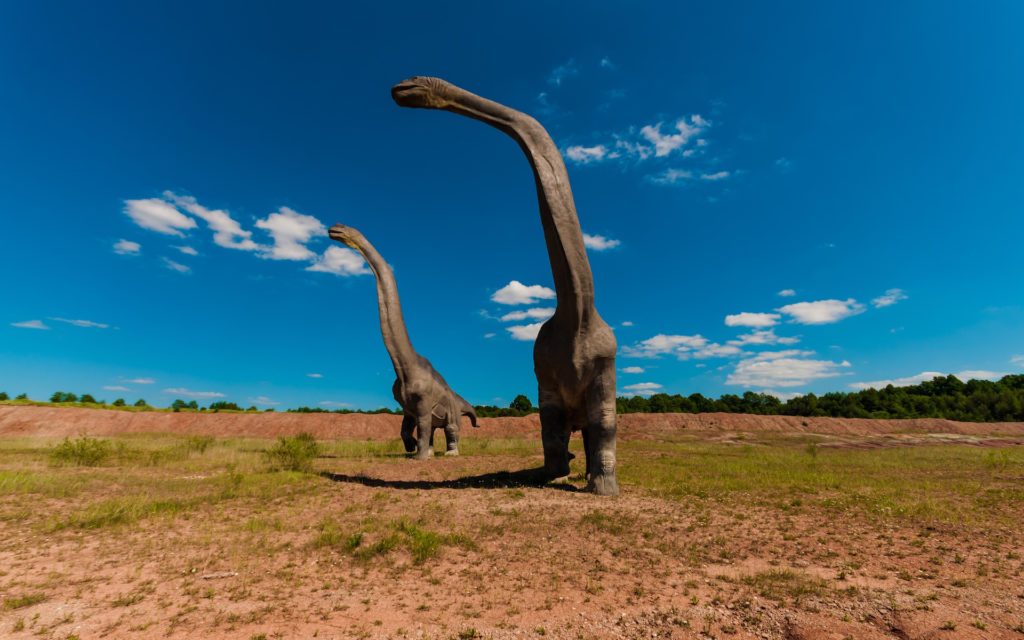 Des dinosaures. // Source : Pxhere/CC0 Domaine public (photo recadrée) Des dinosaures. // Source : Pxhere/CC0 Domaine public (photo recadrée)
