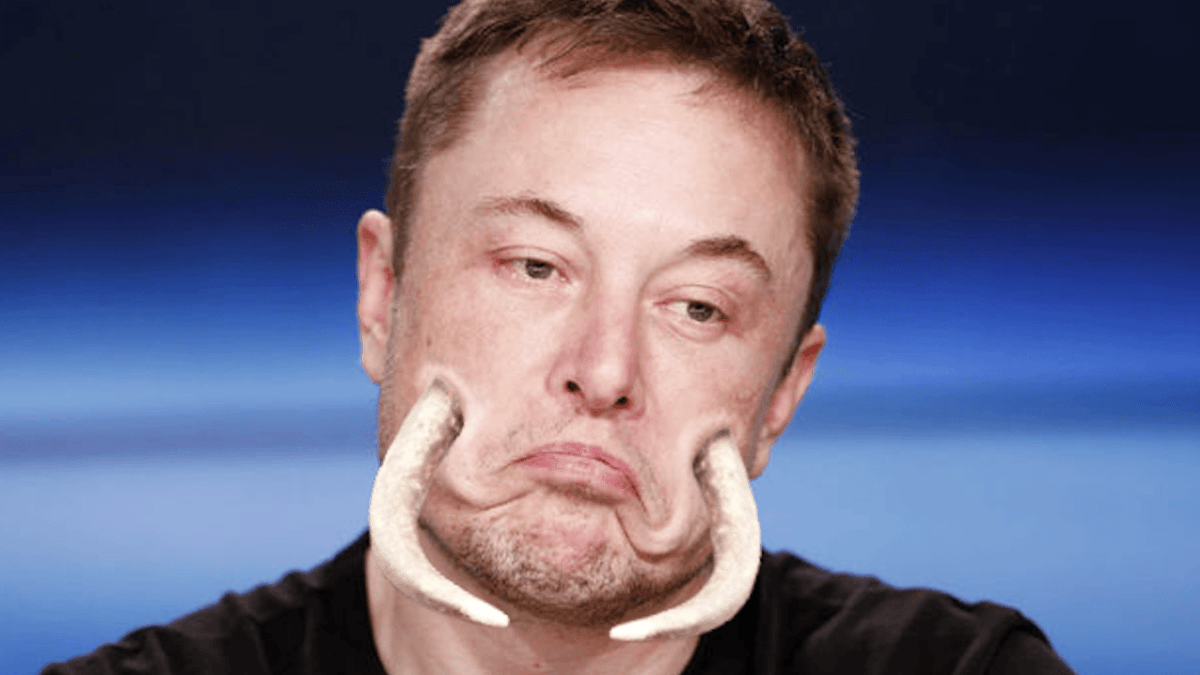 Elon Tusk // Source : Numerama Elon Tusk // Source : Numerama