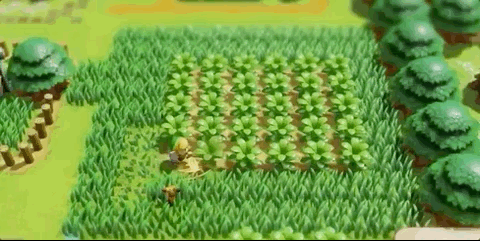 Gif Legend of Zelda: Link's Awakening Gif Legend of Zelda: Link's Awakening