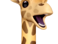 Twitter/MacRumors