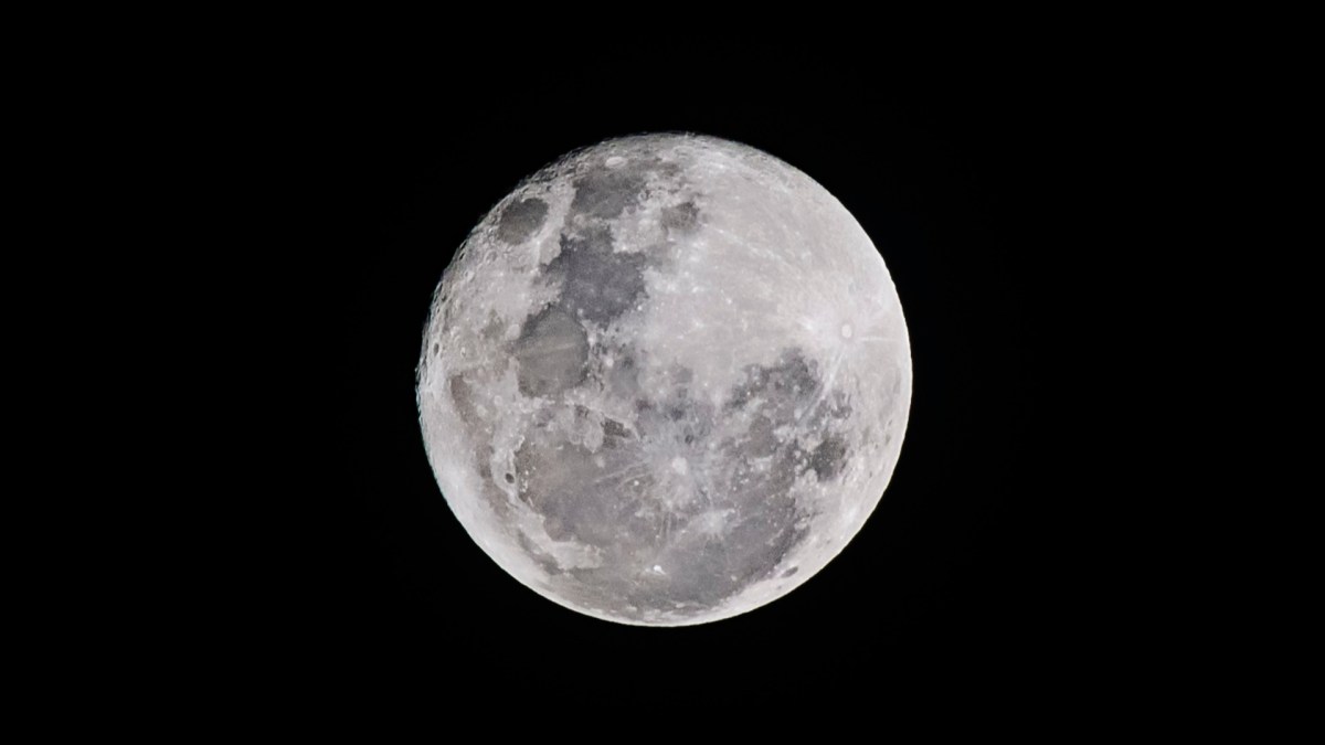 La Lune. // Source : Pexels (photo recadrée) La Lune. // Source : Pexels (photo recadrée)