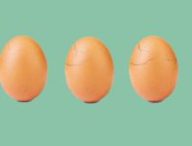 Des œufs peuvent rapporter gros sur Instagram // Source : Montage Numerama / world_record_egg