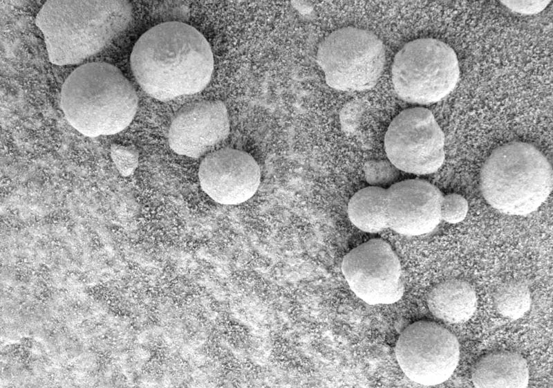 Les sphères découvertes en 2004 par Opportunity. // Source : Jet Propulsion Laboratory Les sphères découvertes en 2004 par Opportunity. // Source : Jet Propulsion Laboratory