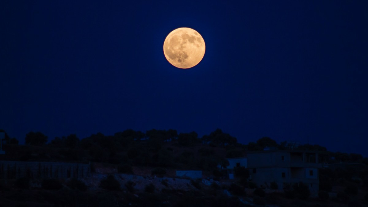 La pleine lune. // Source : Pexels (photo recadrée) La pleine lune. // Source : Pexels (photo recadrée)