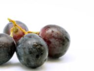 Des grappes de raisin. // Source : Pixabay (photo recadrée)