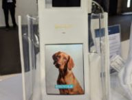 Royole au MWC 2019 // Source : Numerama