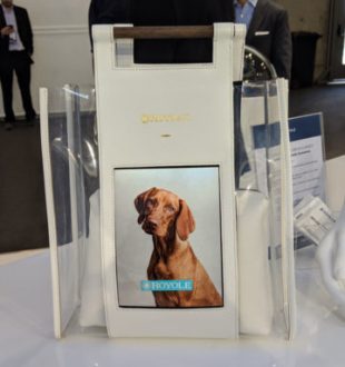 Royole au MWC 2019 // Source : Numerama