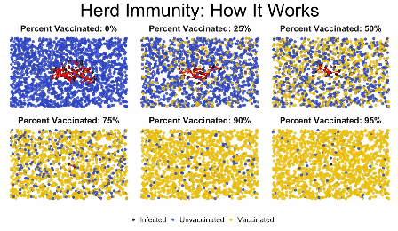 Comment une maladie se propage en fonction de la proportion de personnes vaccinées // Source : curioctopus Comment une maladie se propage en fonction de la proportion de personnes vaccinées // Source : curioctopus