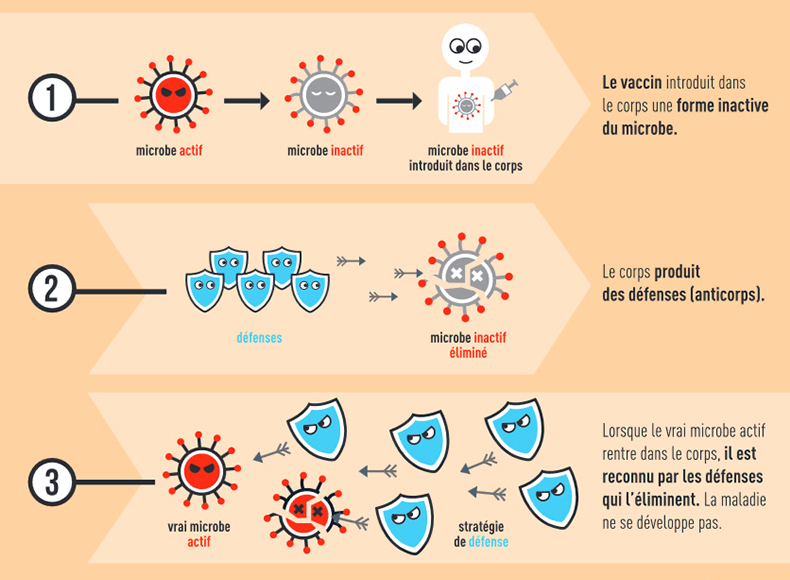 Le principe de la vaccination. // Source : Inpes (image recadrée) Le principe de la vaccination. // Source : Inpes (image recadrée)