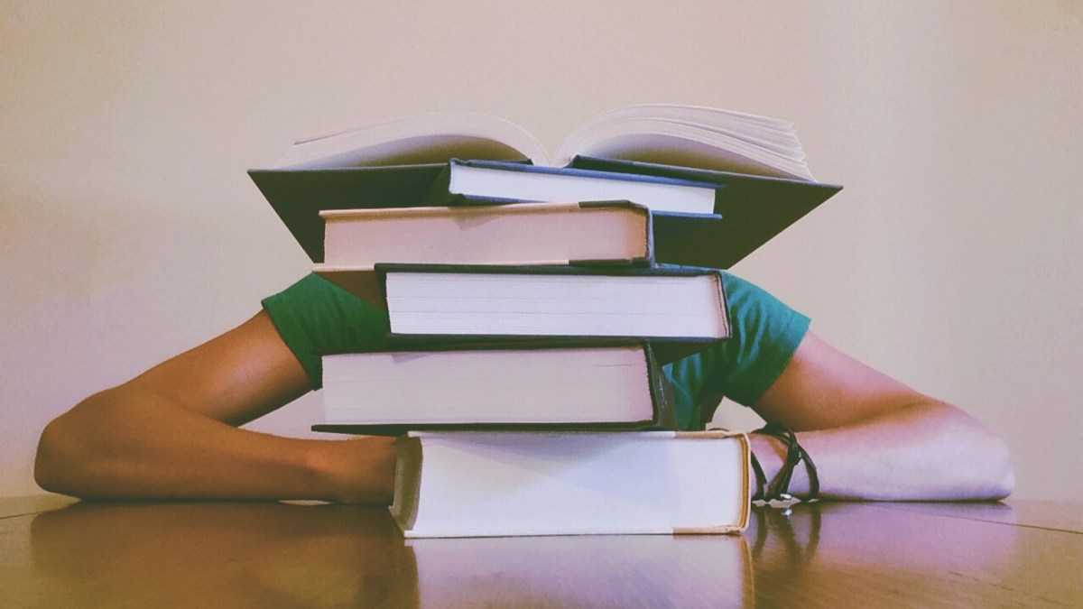 Une personne en train d'étudier. // Source : Pixabay (photo recadrée) Une personne en train d'étudier. // Source : Pixabay (photo recadrée)