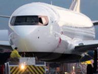 Avion Boeing 737 MAX. // Source : Liam Allport