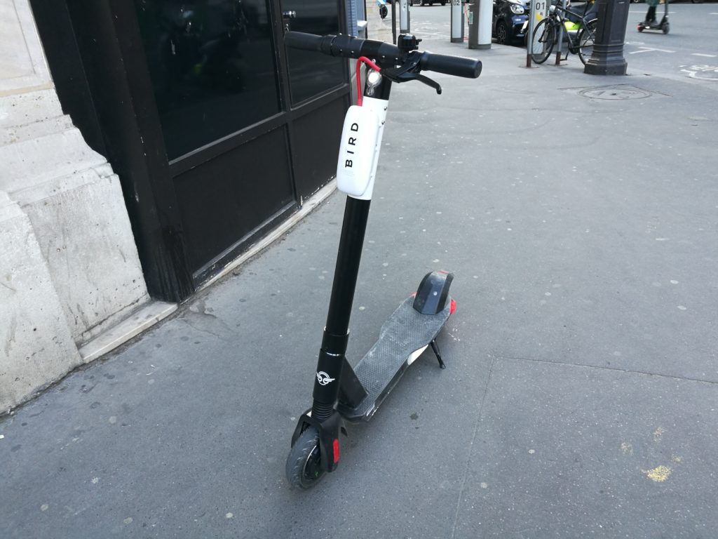 Trottinette Bird // Source : Léopold Maçon Trottinette Bird // Source : Léopold Maçon