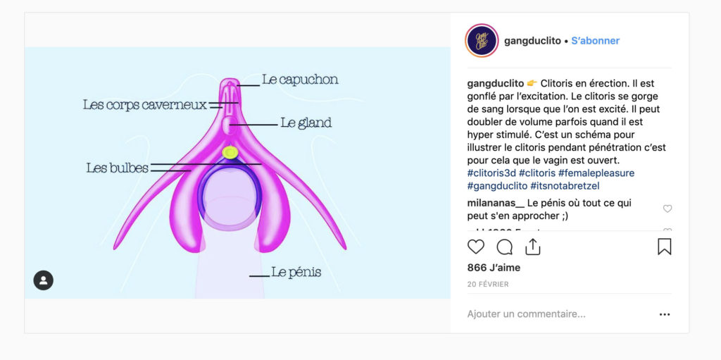 Clitoris en érection // Source : Gangduclito Clitoris en érection // Source : Gangduclito