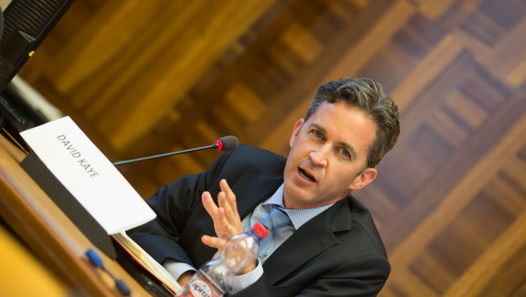 David Kaye David Kaye