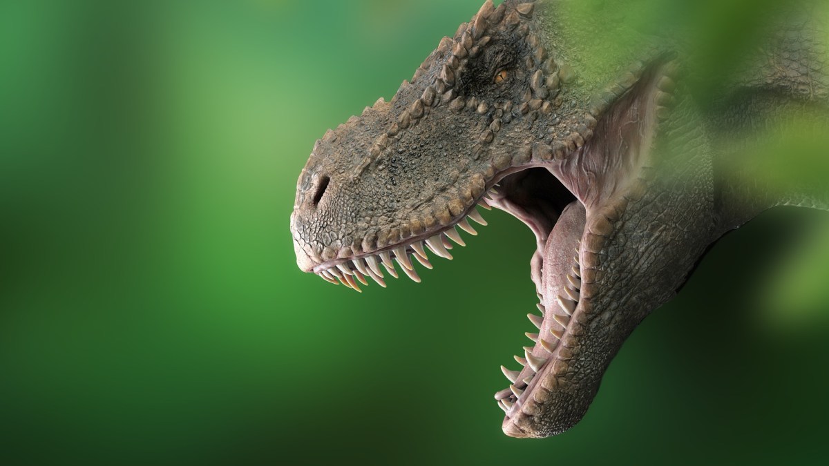 Le fameux « T-Rex », que l'on rechigne toujours à représenter avec ses plumes de poulet // Source : Pixabay Le fameux « T-Rex », que l'on rechigne toujours à représenter avec ses plumes de poulet // Source : Pixabay