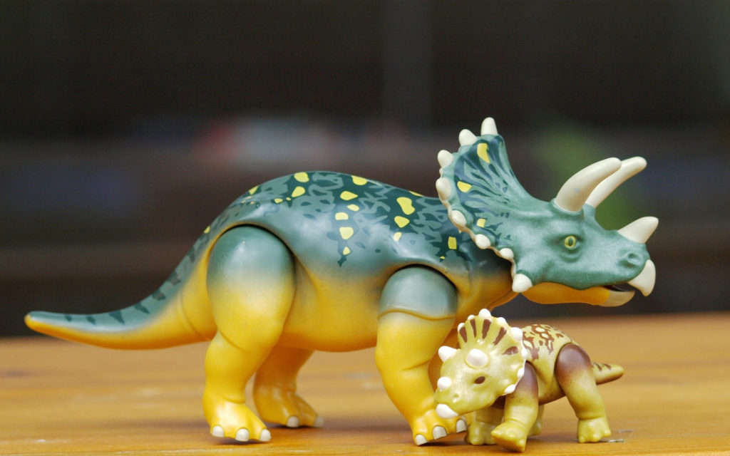 Des jouets tricératops. // Source : Pixabay (photo recadrée) Des jouets tricératops. // Source : Pixabay (photo recadrée)