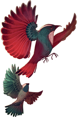 Dixit Anniversary Dixit Anniversary