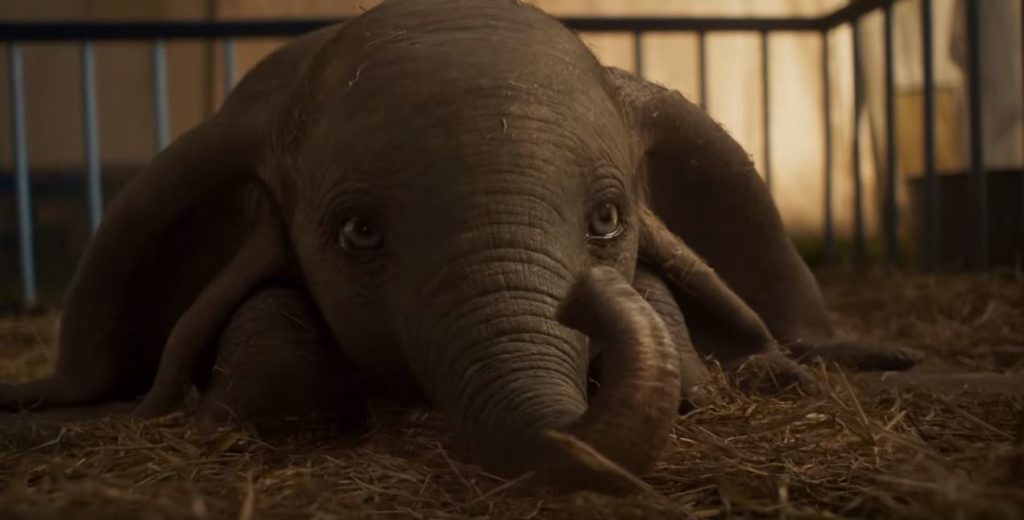 Dumbo, définitivement adorable dans ce film. // Source : Youtube/Walt Disney Studios Dumbo, définitivement adorable dans ce film. // Source : Youtube/Walt Disney Studios