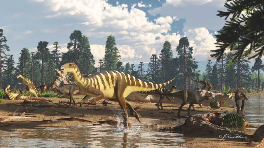 Le dinosaure Galleonosaurus dorisae. // Source : James Kuether