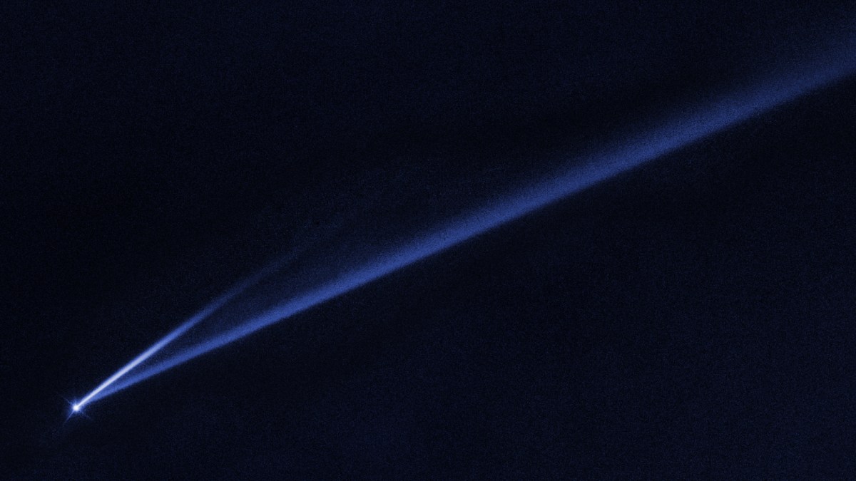 L'astéroïde Gault. // Source : NASA, ESA, K. Meech and J. Kleyna (University of Hawaii), and O. Hainaut (European Southern Observatory) L'astéroïde Gault. // Source : NASA, ESA, K. Meech and J. Kleyna (University of Hawaii), and O. Hainaut (European Southern Observatory)