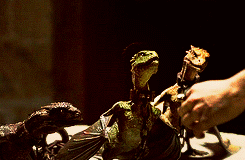 Gif dragon GOT // Source : Giphy Gif dragon GOT // Source : Giphy