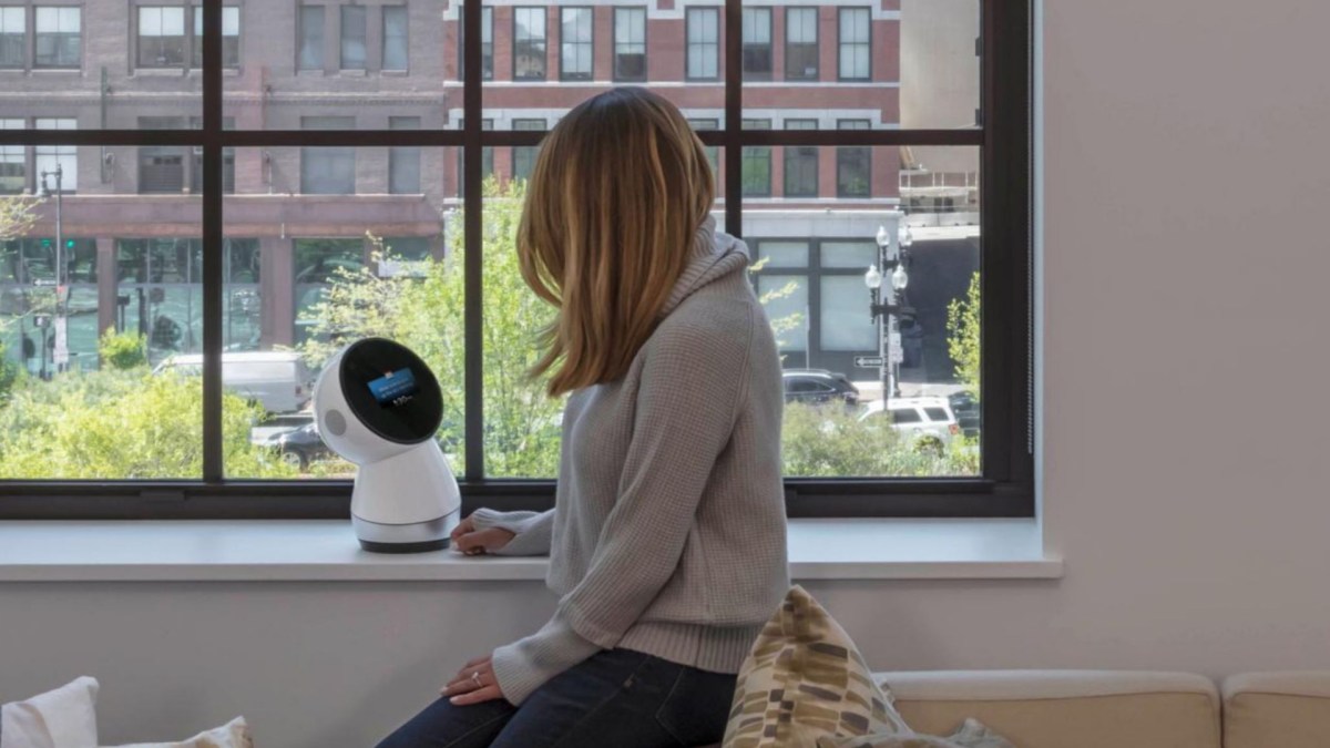 Jibo Jibo