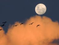 La Lune. // Source : Pxhere/CC0 Domaine public (photo recadrée)