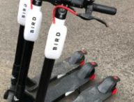 Les nouvelles trottinettes Bird à Paris // Source : Numerama