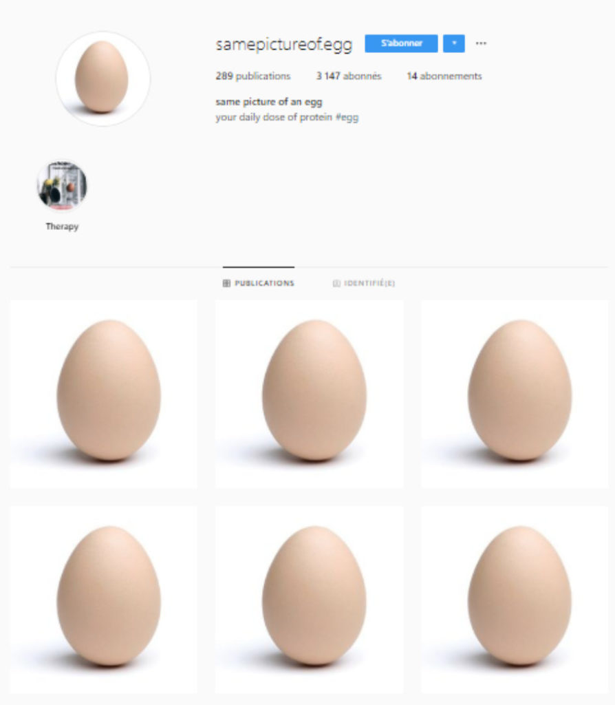 Extrait du compte samepictureof.egg // Source : Capture d'écran Instagram / samepictureof.egg Extrait du compte samepictureof.egg // Source : Capture d'écran Instagram / samepictureof.egg