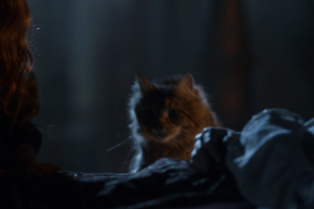 Chat Game of Thrones // Source : HBO (via The Verge) Chat Game of Thrones // Source : HBO (via The Verge)