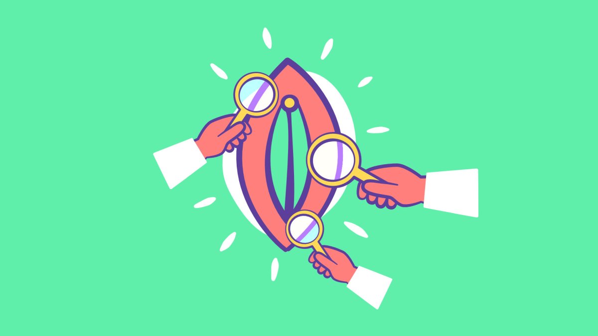 Le sexe féminin a été moins étudié que le sexe masculin. // Source : Claire Braikeh / Numerama Le sexe féminin a été moins étudié que le sexe masculin. // Source : Claire Braikeh / Numerama